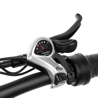 Vélo électrique 20"pouces – FX20 -