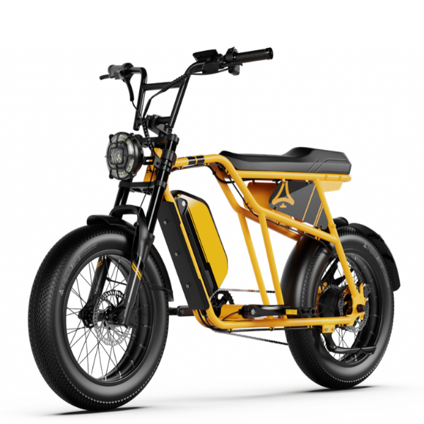 Vélo électrique 26"pouces – FX22