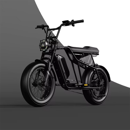 Vélo électrique 26"pouces – FX22