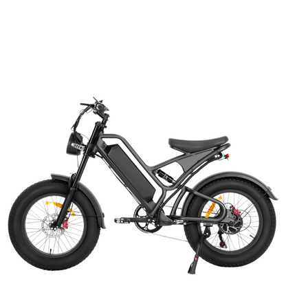 Vélo électrique 20"pouces – FX20 -